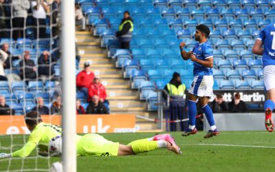 Spireites draw at home